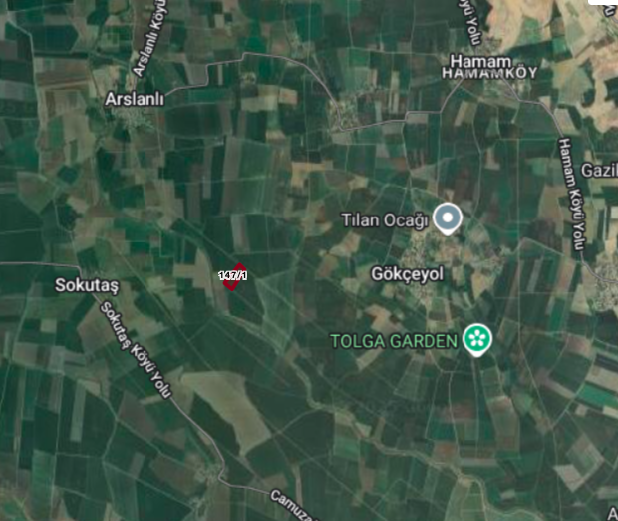 ADANA KOZAN'DA 28.874 M2 SATILIK TARLA